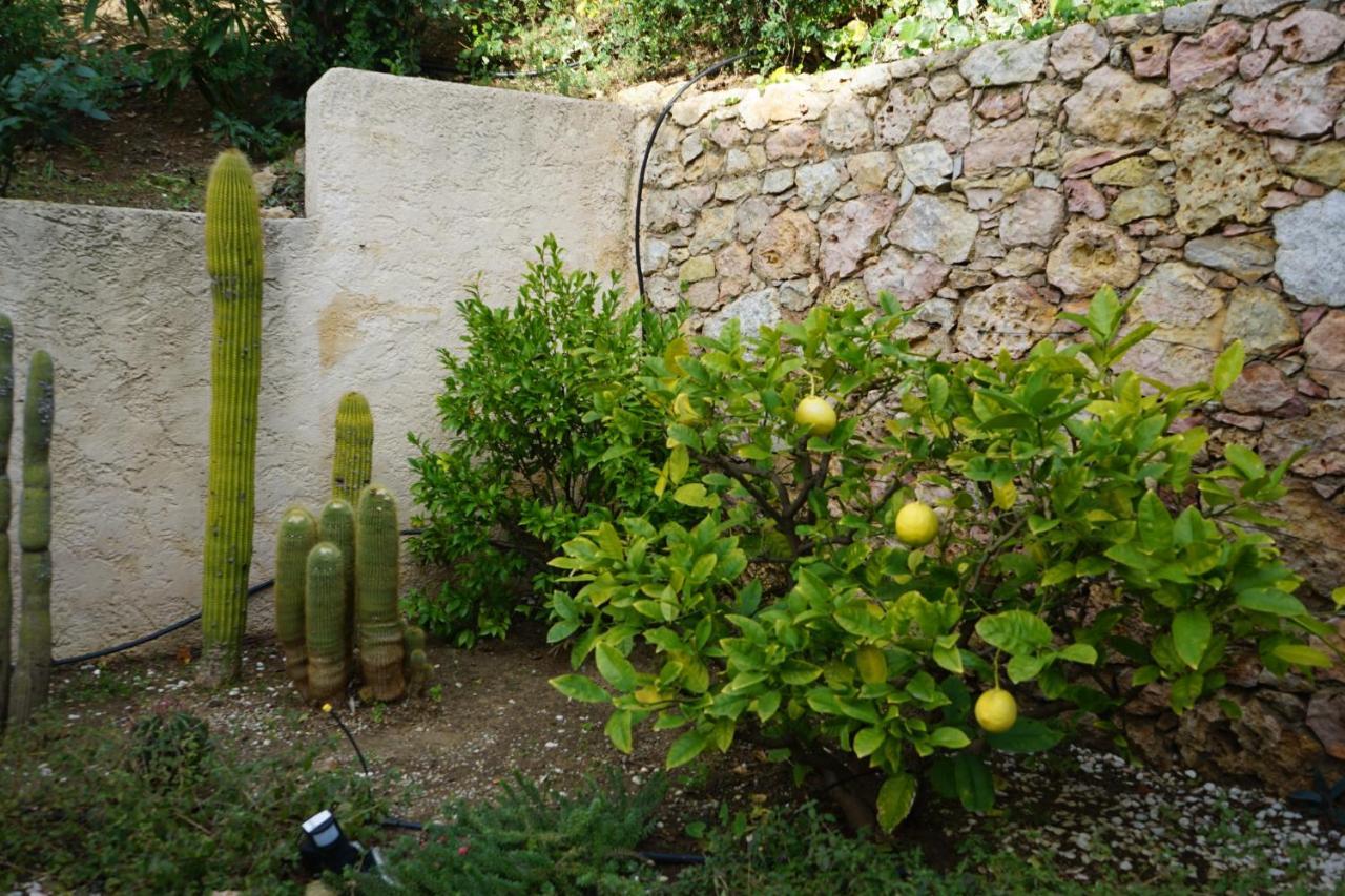 Villa Les Cades Sainte-Maxime Buitenkant foto
